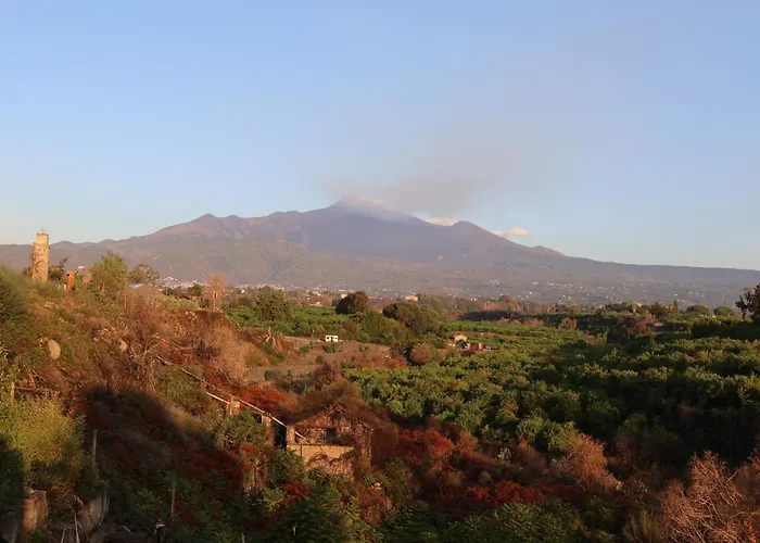 Il Pampaleone Glamping And Resort