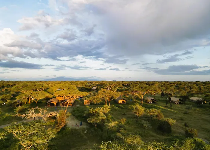 Africa Safari Ngorongoro Ndutu Camping