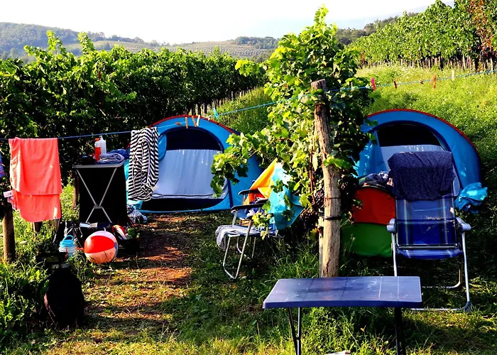 Saxida Wine & Camping Resort - Campsite