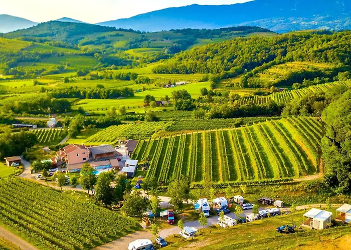 Saxida Wine & Camping Resort - Campsite