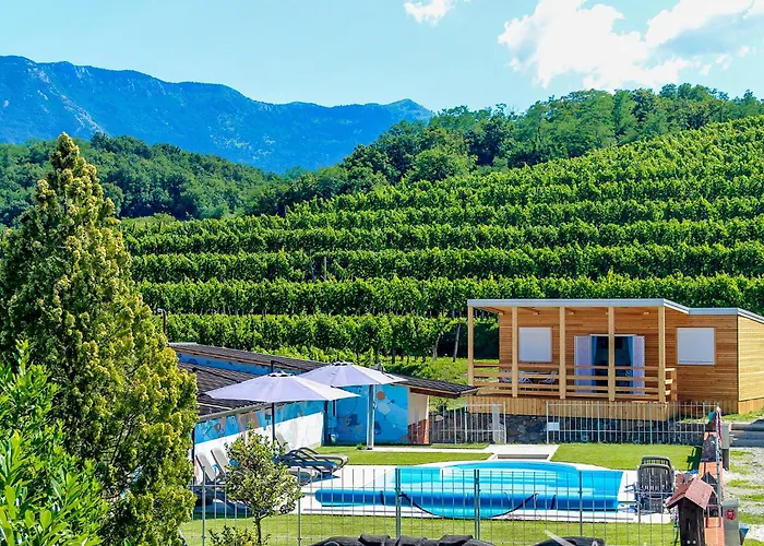 Saxida Wine & Camping Resort - Campsite