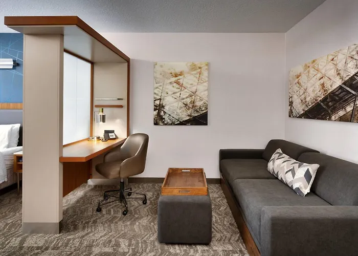 Springhill Suites By Marriott Provo