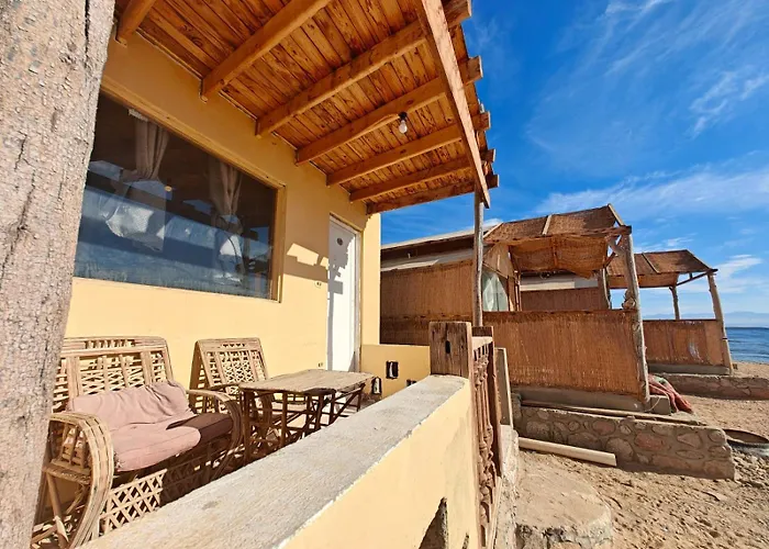 Acacia Camp
