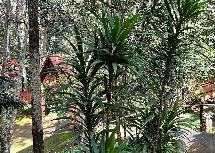 Sitio Chale Da Mata - Circuito Caravaggio, Santa Teresa
