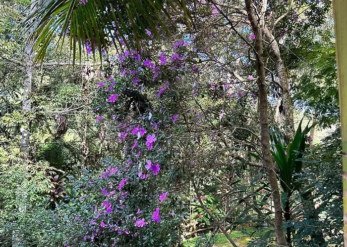 Pousada Chalé da Mata - Circuito Caravaggio, Santa Teresa