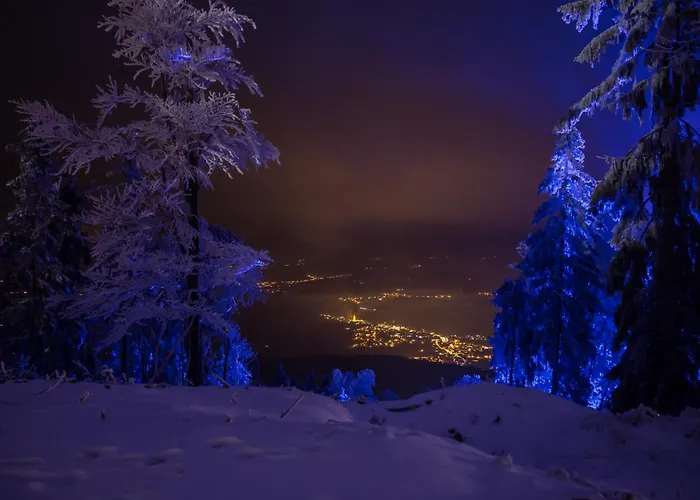 Schoenblick Hohenbogen