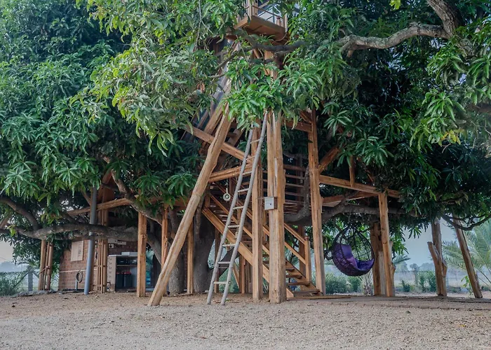 Habba Dates Village , Luxury 100 Acres Dates Farm Near Chikkaballapur