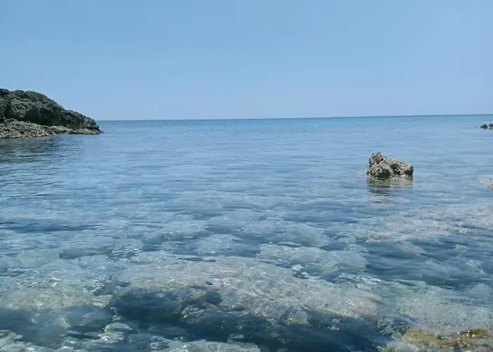 Macaria Agricampeggio