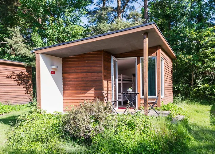 First Camp Aarhus - Jylland