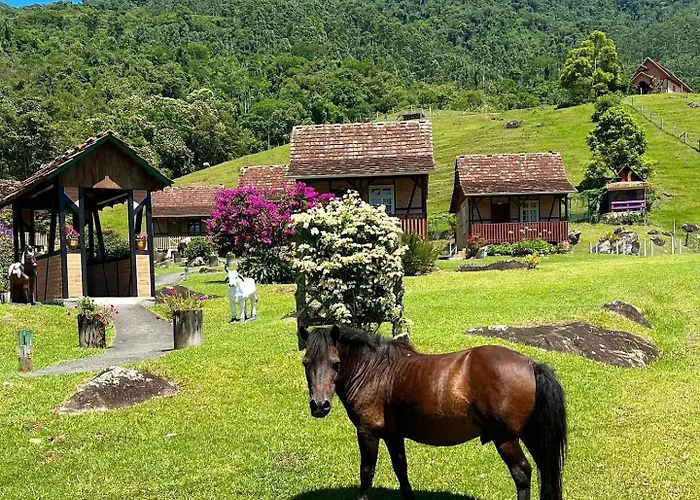 Paraiso Enxaimel Mundo Antigo
