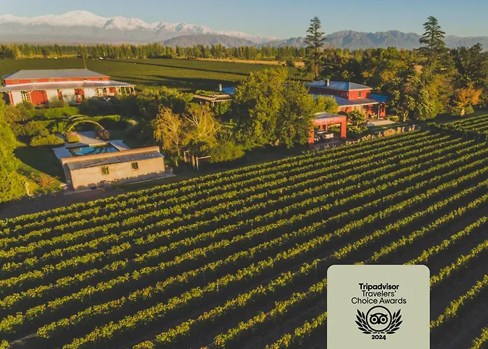 Enlace Wine House