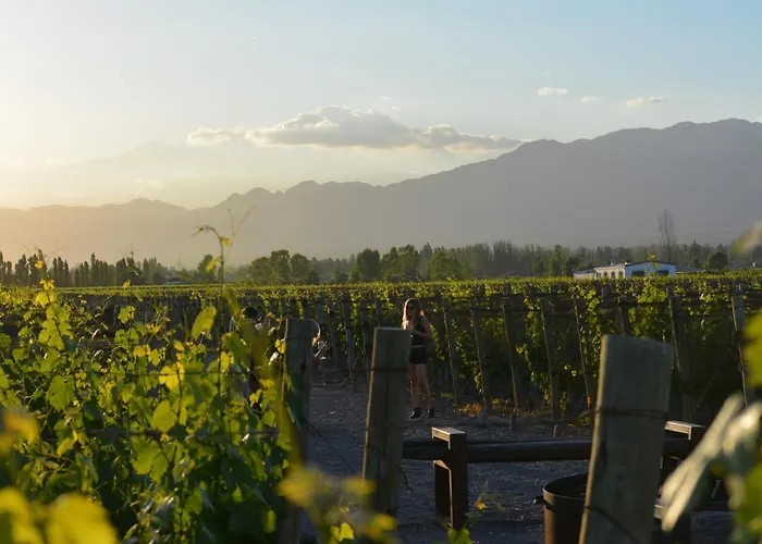 Viamonte Winery Lodge