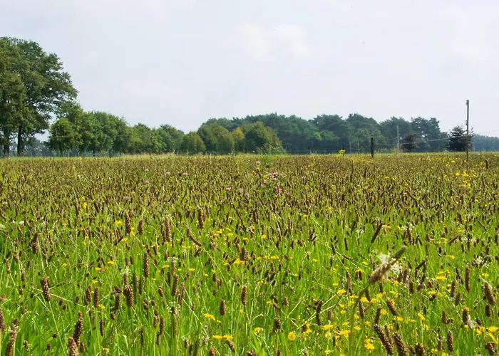 Pipowagen 2 Persoons Camping Lindershoeve Bergeijk