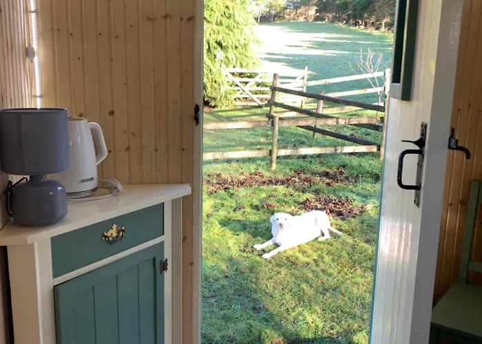 Silverspring Glamping The Shepherds Hut