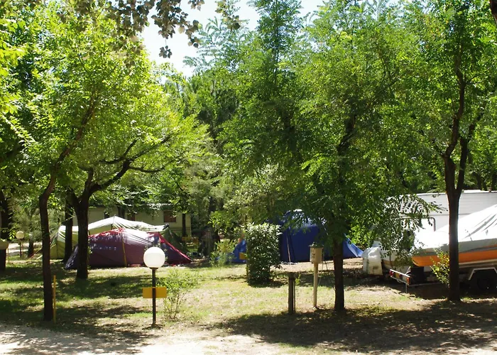 Camping Valdor Camper & Pitch