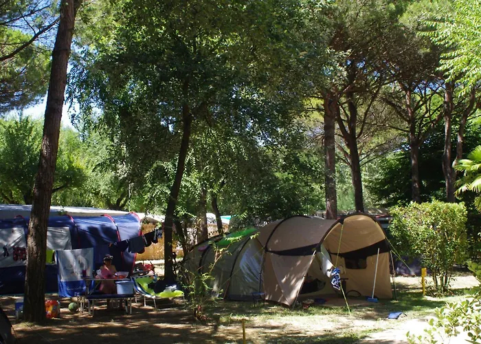 Camping Valdor Camper & Pitch