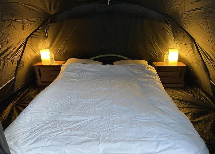 Pop-Up Camping Close To Festival - Ganzendrieshoeve