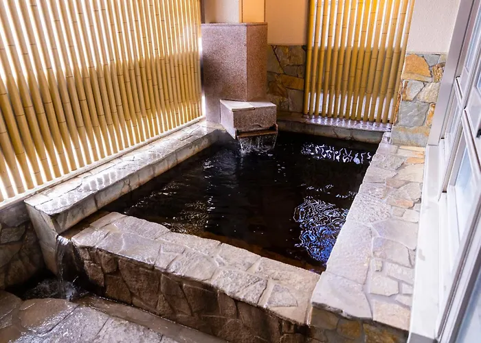 Natural Hot Spring Ariston Hotel Oita