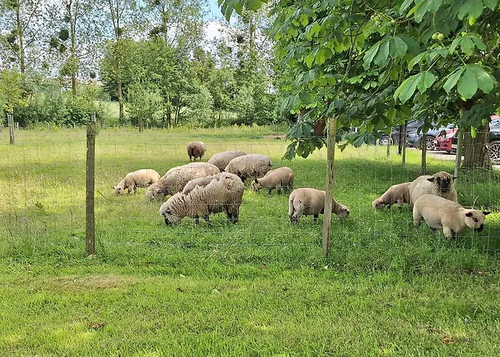 Roulotte Les Mesanges
