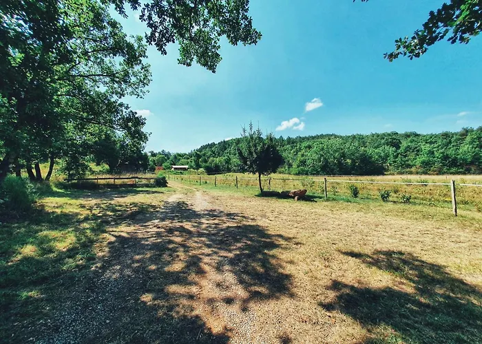Camping Des Vignes