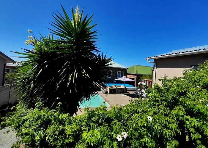 Blue Whale Lodge