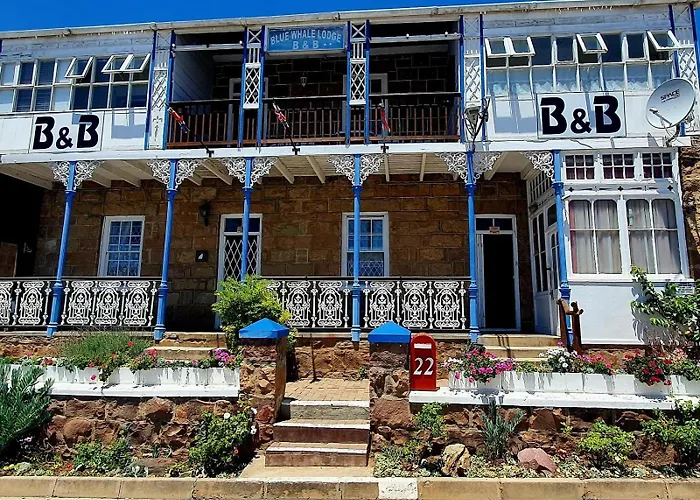 Blue Whale Lodge