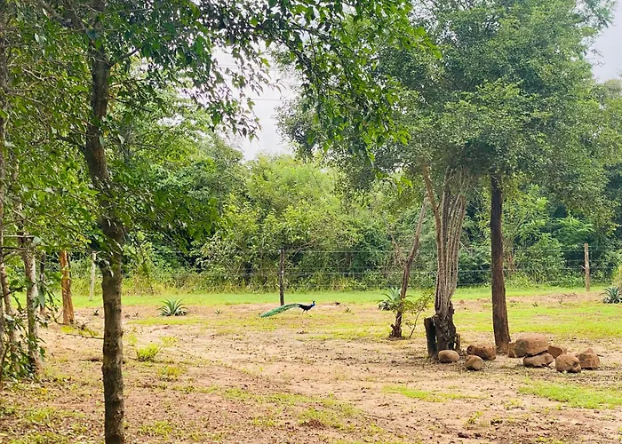 Elephant Fence Habarana