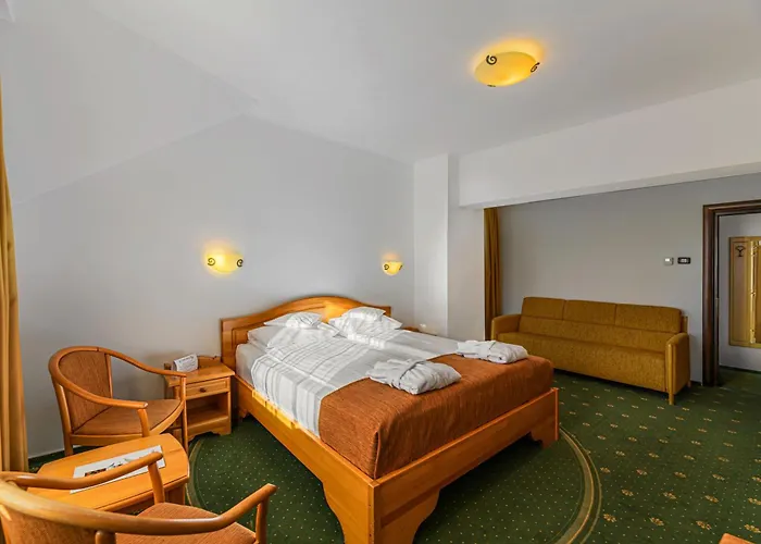 Hotel Casa Viorel Jacuzzi & Saunas