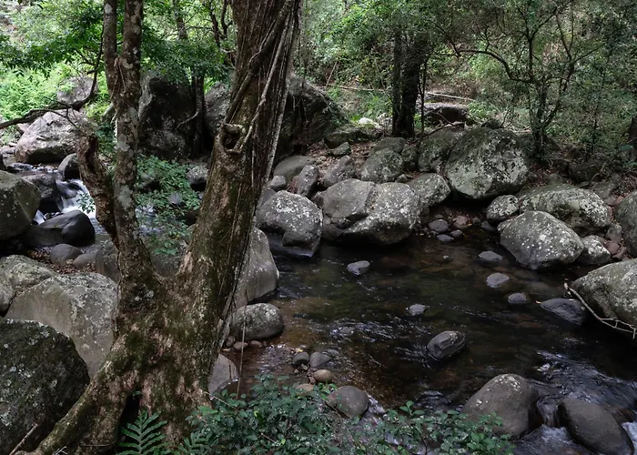 The Glenrock Wellness Nature Resort