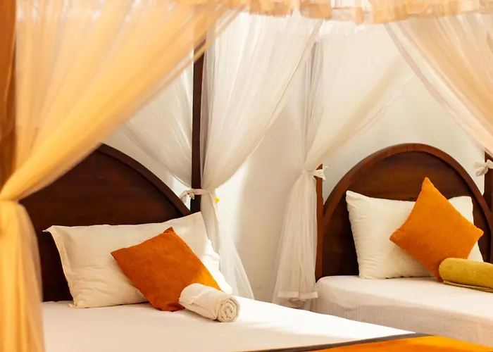 Xotic Resort