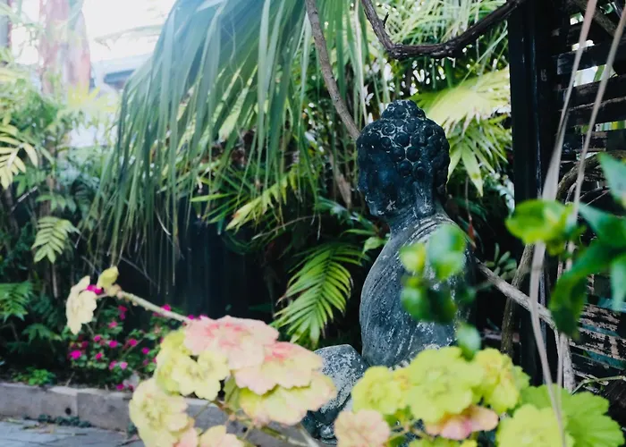 Aotearoa Surf Lodge