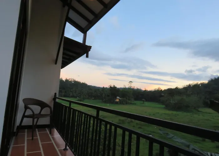 Wildlife Kingdom - Deniyaya Sinharaja