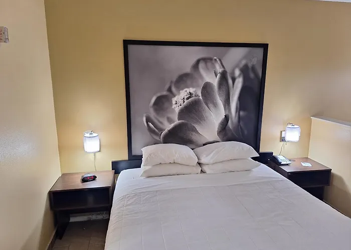 Super 8 By Wyndham Weslaco