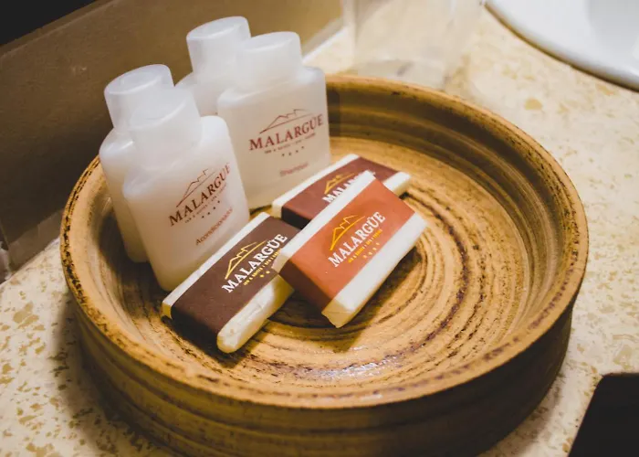 Hotel Malargue