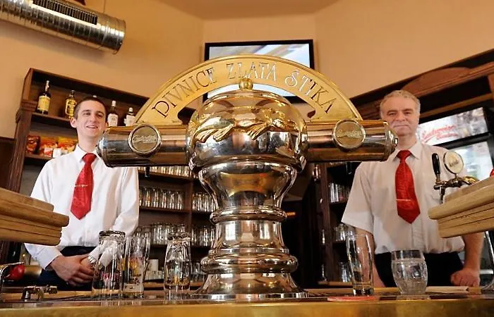 Hotel Zlata Stika