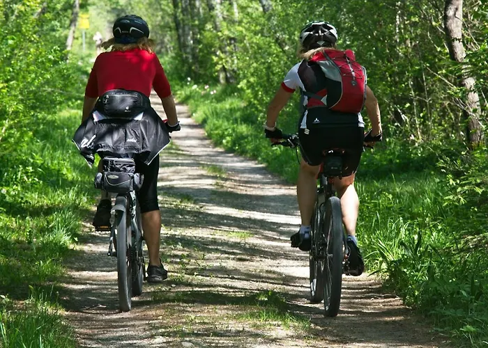 Chalet Bosrust Met Serre & Priveparking Natuur Nabij Maastricht