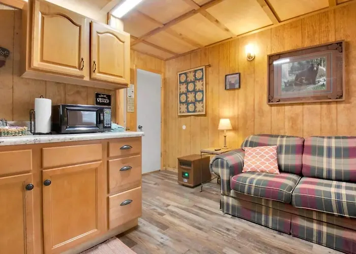1Br Cabin In The Smokies Close To Gatlinburg