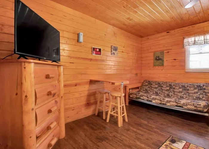 Pet Friendly Studio Cabin In Gatliburg