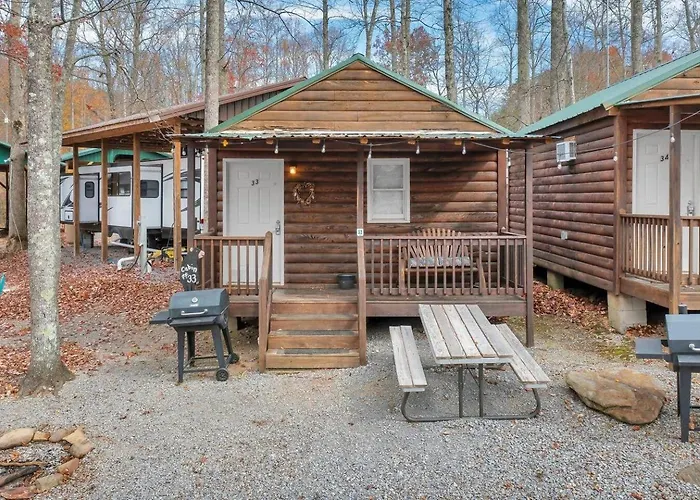 Pet Friendly Studio Cabin In Gatliburg
