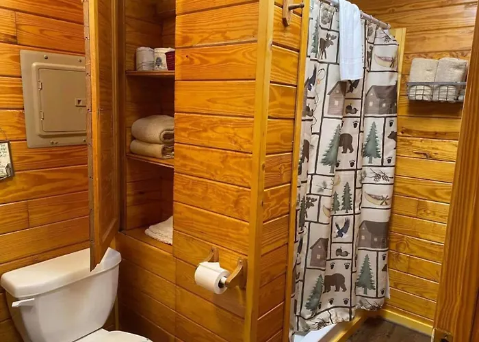 Pet Friendly Studio Cabin In Gatliburg