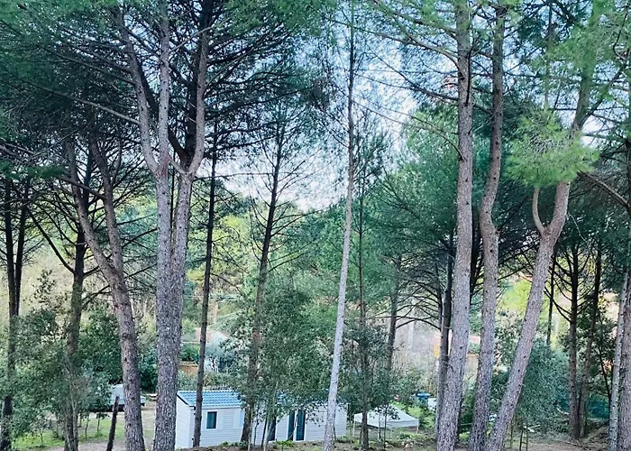 Mobil Home De Standing A La Porte Des Cevennes Sur Un Terrain Arbore Et Ombrage