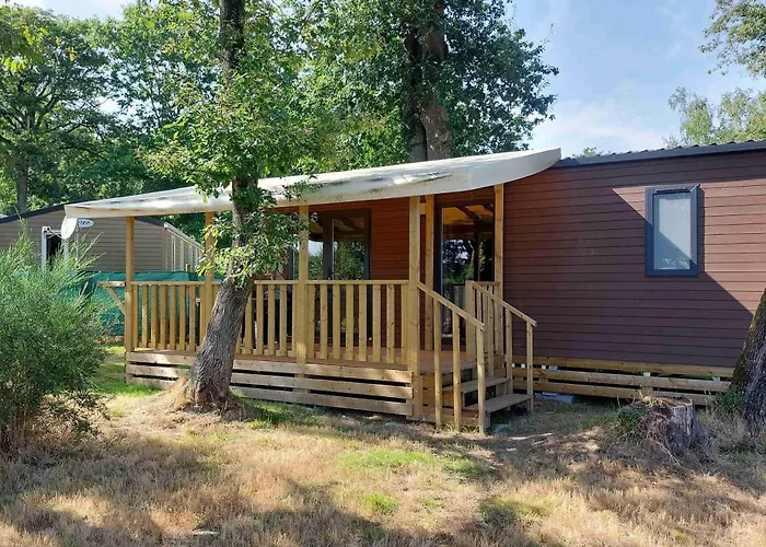 Camping Oaki