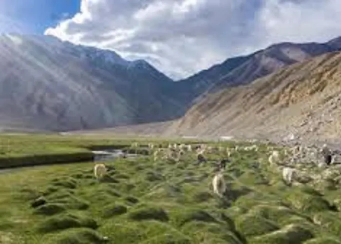 Hotel Dewa Retreat Nubra