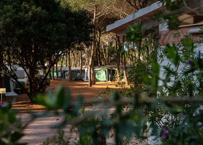 Camping Village Il Sole - Empty Pitch Only - Solo Piazzole Per La Propria Tenda O Caravan