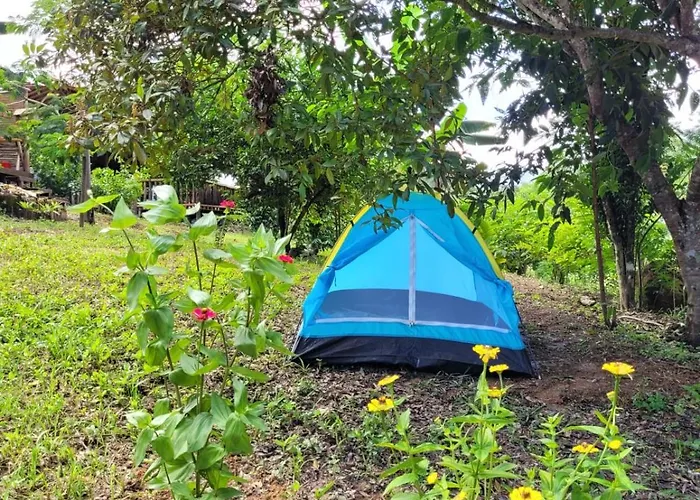 Nosso Quintal Candeias - Camping