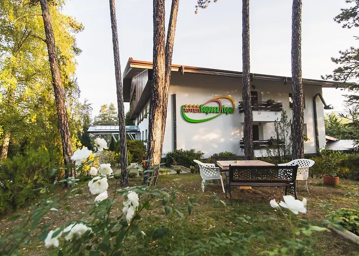 Family Hotel Borova Gora