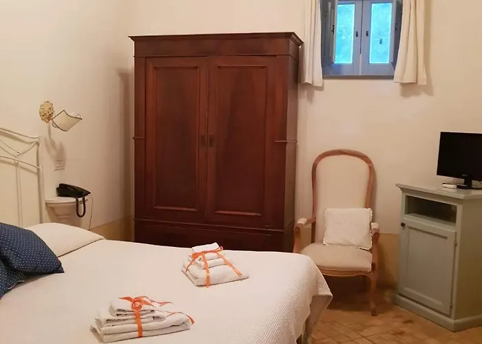 Il Delfino