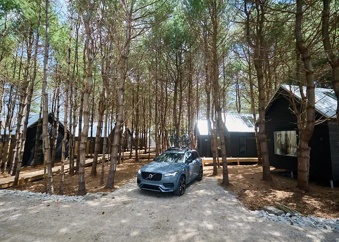 Black Forest Cabins
