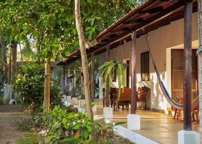 El Bosque Hotel