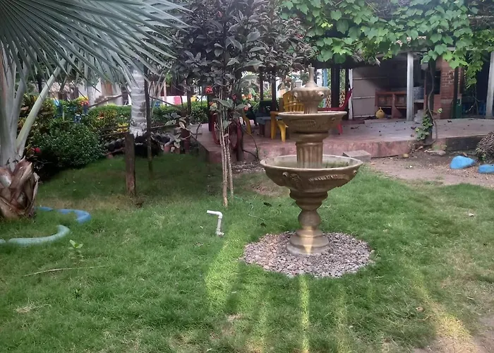 Casa Jungla